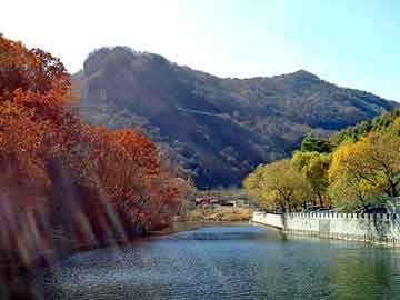 管家婆黑白马报图库，芳烃报价